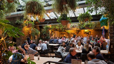 People are sitting in Heller's brewery with lots of green plants.